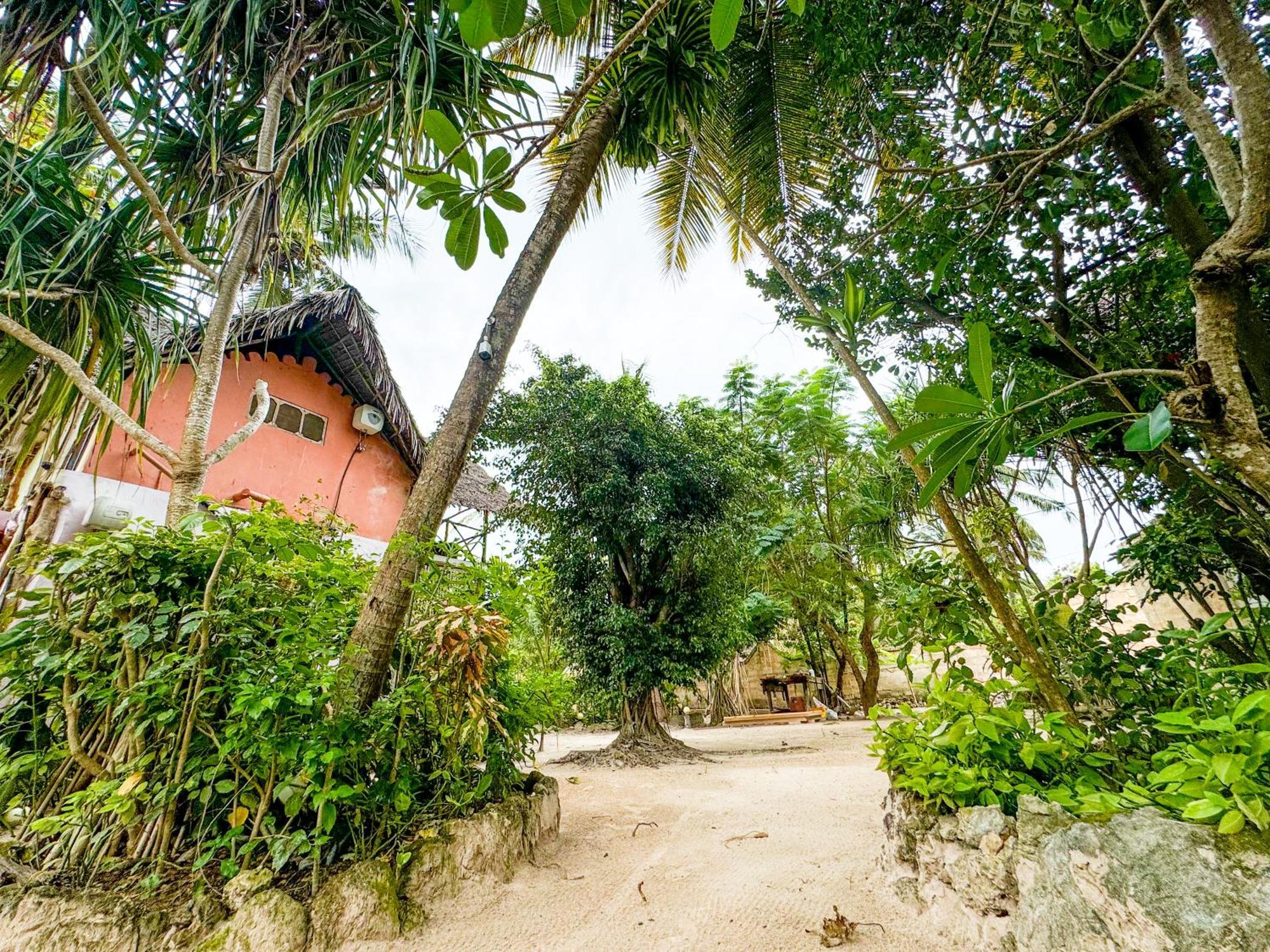 Sagando Hostel&Bungalows Zanzibar Michamvi Exterior foto